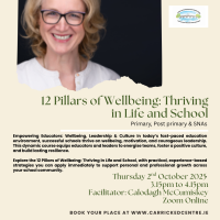 12 Pillars of Wellbeing: Thriving in Life and School - 25LCAU20 (Facilitator Calodagh McCumiskey)