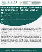 NEPS: Measúnú agus Diagnóisic Litearthachta don Iarbhunscoil